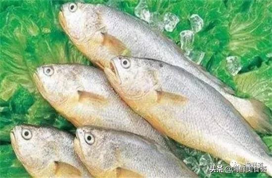 102种海鲜,营养丰富的海鲜有哪些品种