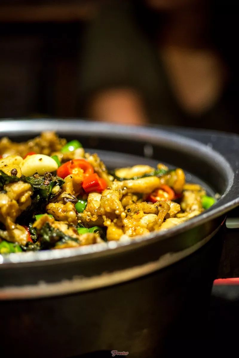 海口飞特,飞特推荐