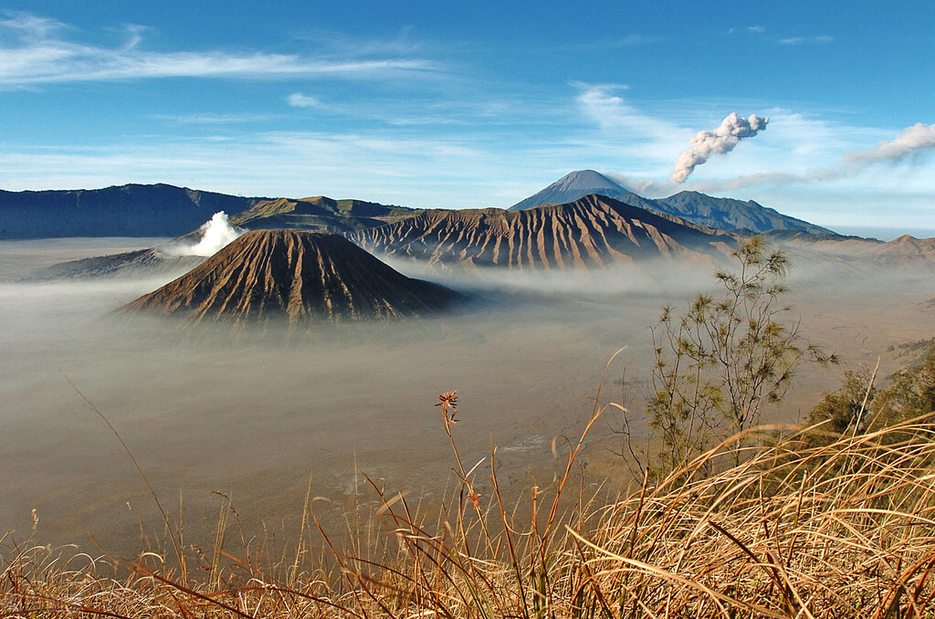 世界每年人口增长数量最多的国家,南美洲人口最多的国家是哪个国家