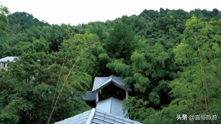 重庆垫江县有什么旅游景点,重庆垫江县旅游必去十大景点推荐