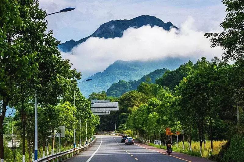 盘点知名汽车赛事,汽车赛事纯燃油