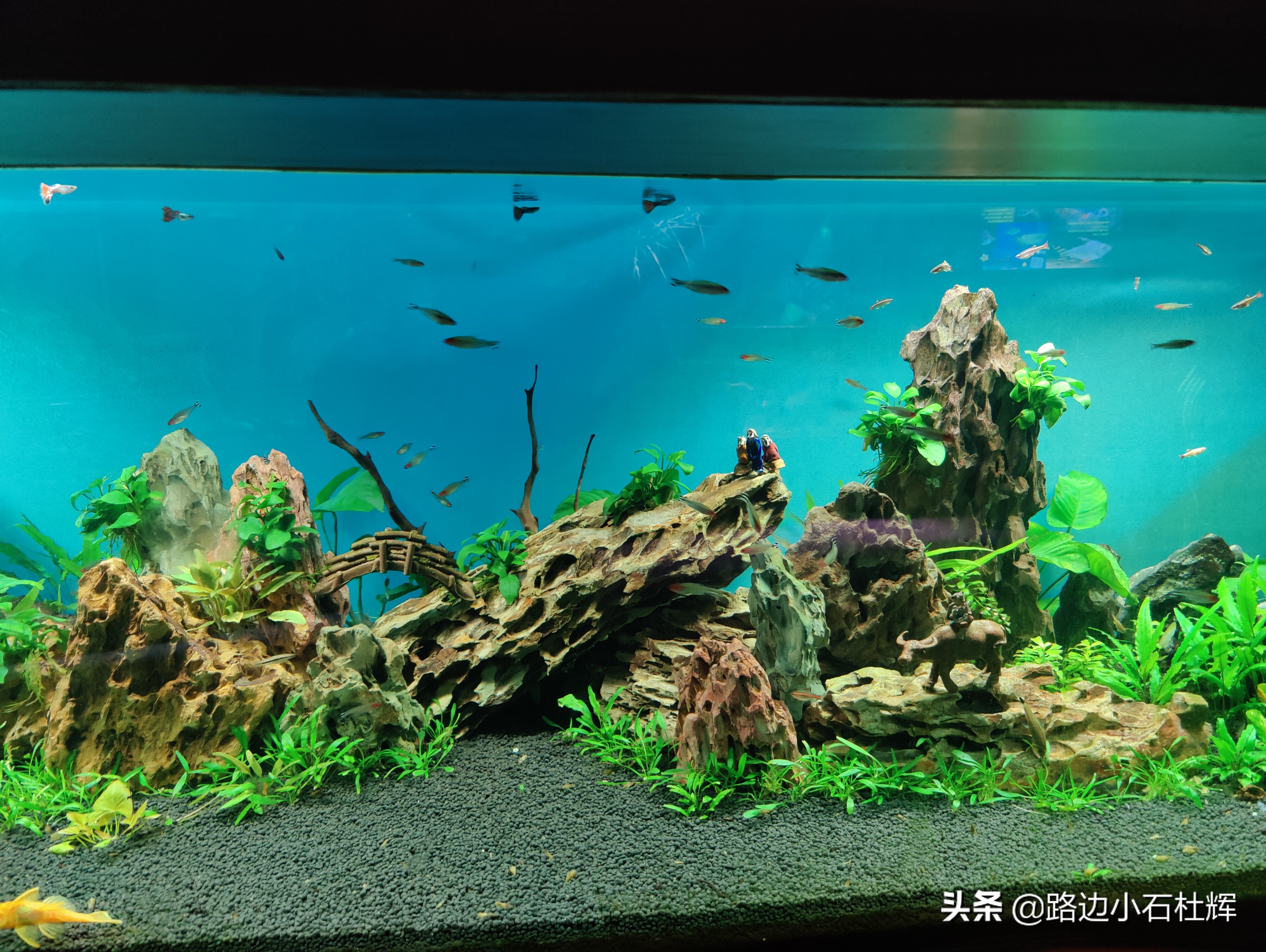 北京海洋馆游玩一览表,北京太平洋海洋馆海底世界