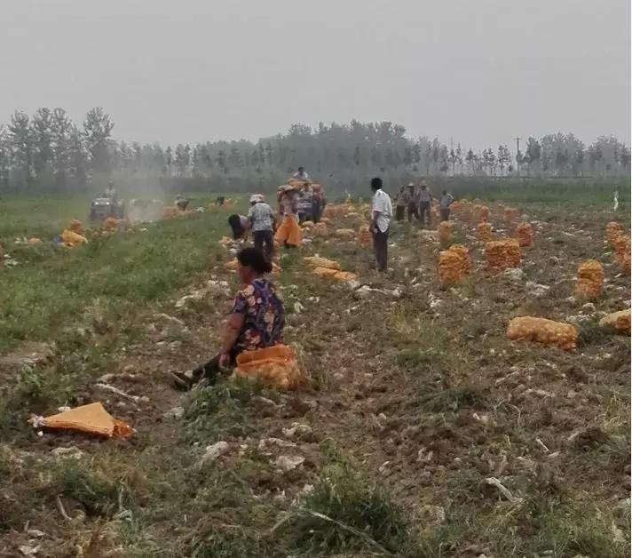 #芜检君分享#贫困村里新面貌——安徽省监狱局脱贫攻坚工作新成效