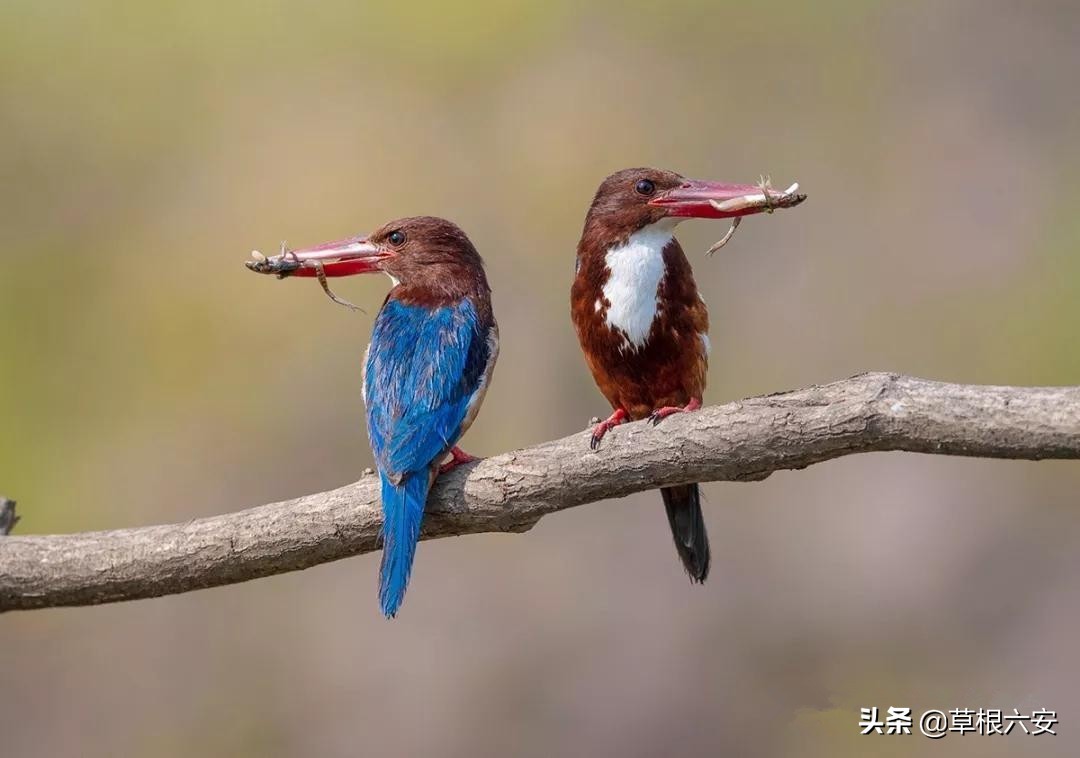 霍山一等奖名单,霍山县在全省排名多少位