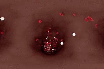 浣犵殑韬綋鍒板簳闀夸粈涔堟牱,浣犵煡閬撲綘鐨勮韩浣撻暱鍟ユ牱瀛愬悧