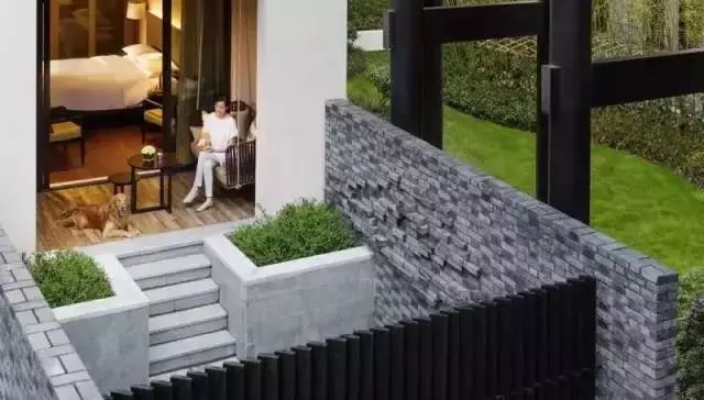 全国首家七星宠物度假酒店,最豪华的宠物酒店