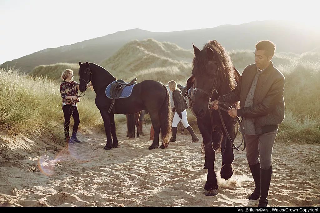 最A的景配最飒的人之既A又飒威尔士