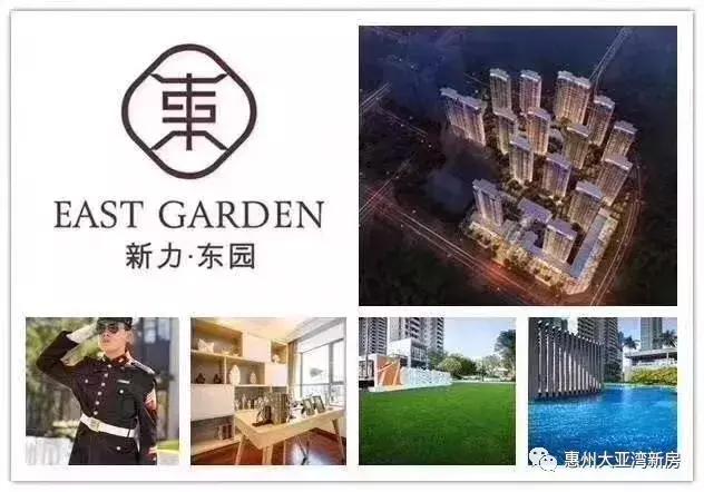 大亚湾新力东园入住业主评价,大亚湾哪个楼盘的物业最便宜