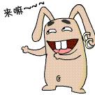 二级考试成绩如何查询,二级计算机考试成绩怎么查询