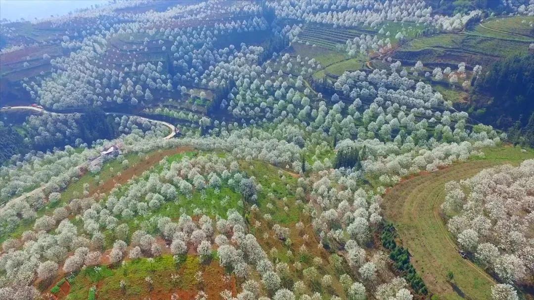 云南18个县城被评为天然氧吧,中国云南天然氧吧城市有哪几个