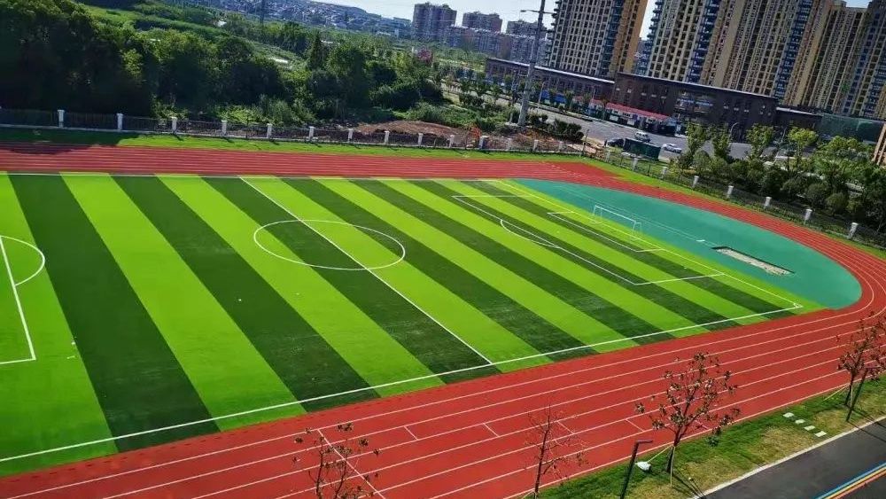 溧阳杨庄中学旧貌,常州市溧阳市杨庄小学