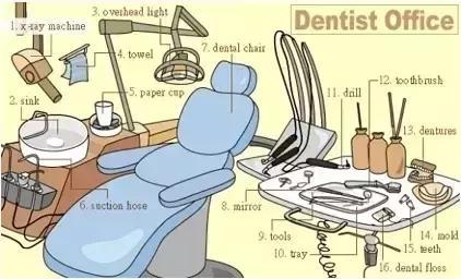 33张图让你记住英语中所有生活用词｜疏桐国际教育