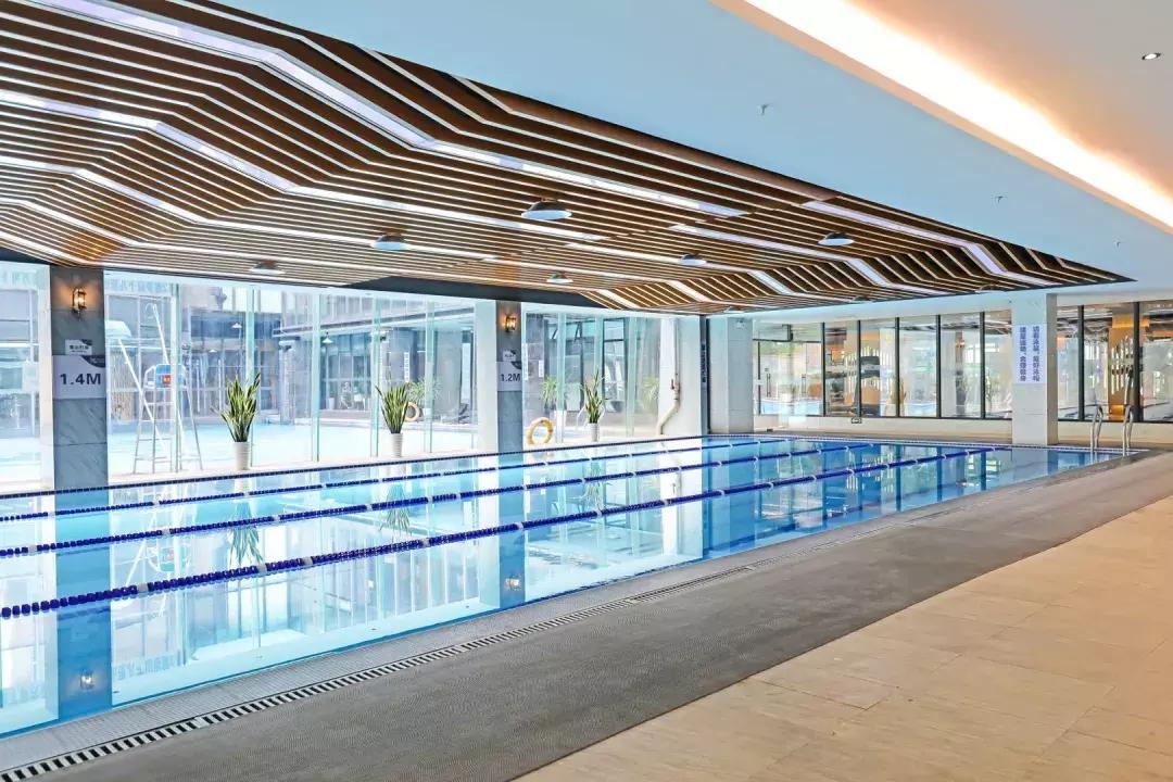 广州十大游泳池,黄埔游泳池有哪些