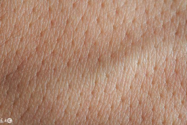 毛孔收缩精华和毛孔收敛水,毛孔粗大收缩毛孔最有效的项目