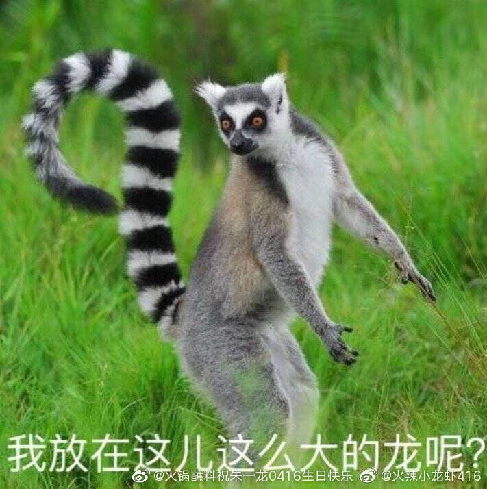 朱一龙实力到底有多强,朱一龙是龙吗