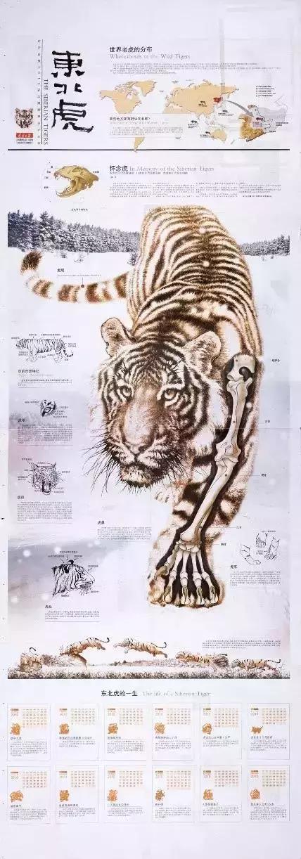 太美了吧,清华美院高材生设计中国日报封面