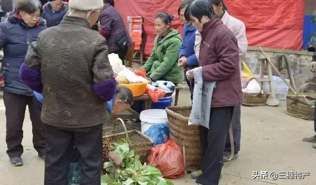 三穗县城几号赶场 (三穗赶场视频完整版)