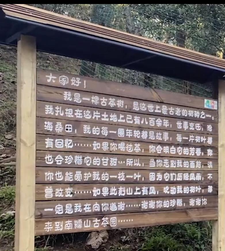 云南普洱茶区六大茶区,普洱茶茶区详细分布图