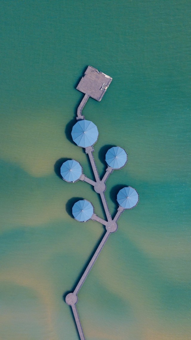 让顾客有参与感的营销,场景营销和场景化营销