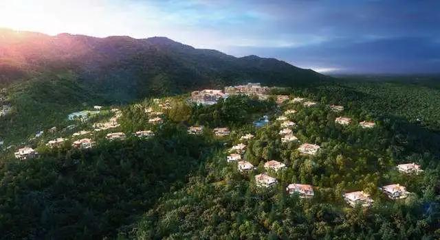 安信纯实木怎么样,安信实木老榆木