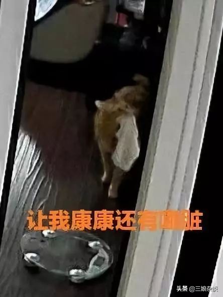 真的服了！北京2154万人口，我打个车都能拼到前男友……