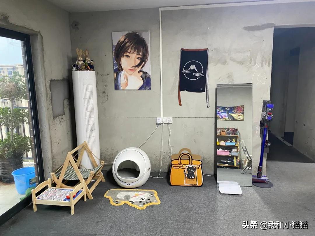 没钱装修了准备毛坯房入住,年轻人不装修直接入住毛坯房