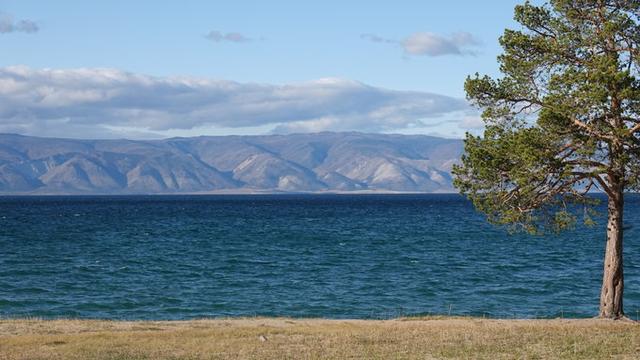 俄罗斯留学常见问题有哪些,俄罗斯留学常见的问题解答