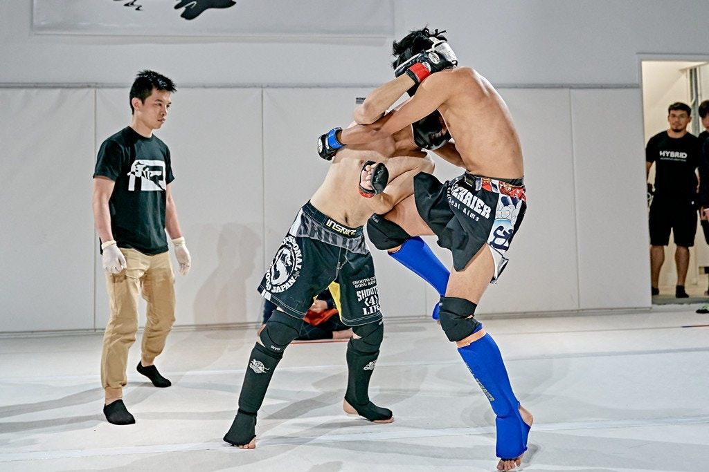 mma包含了哪些格斗,mma是从拳击里面演变来的吗