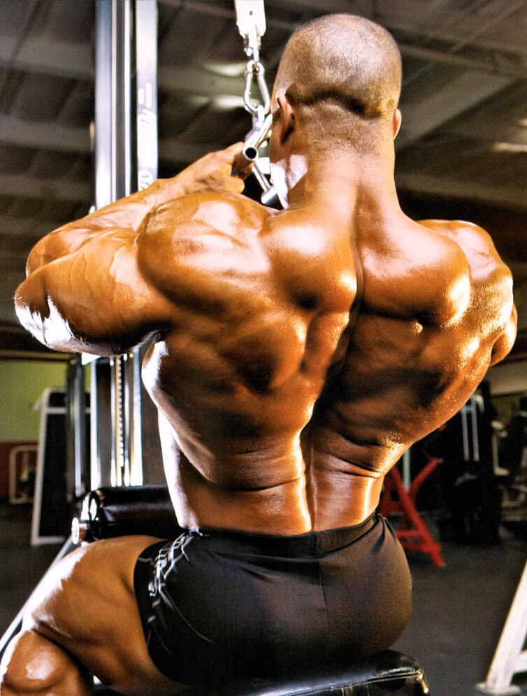 椹竵鍐呭吂鍋ョ編濂ヨ禌灞曠ず,鍋ョ編椹竵鍐呰尐