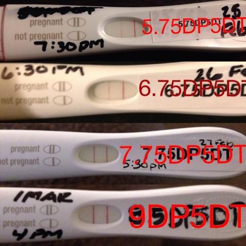 真实美国代孕案例,在美国代孕的案例很多吗