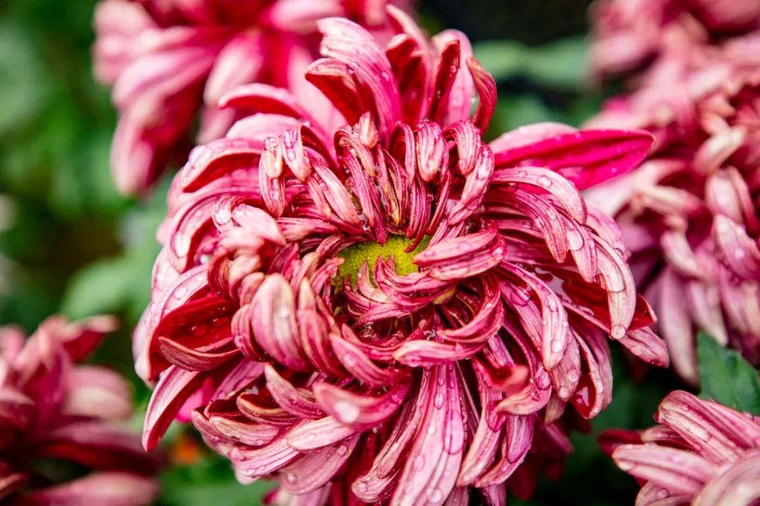 自拍达人全景,南宁自拍拍照博主