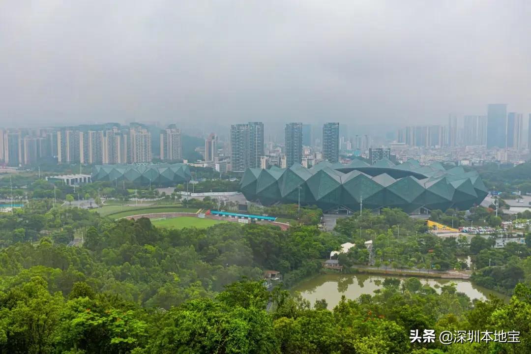 深圳免费的景点有哪些地方,深圳有哪些免费又好玩的地方景点
