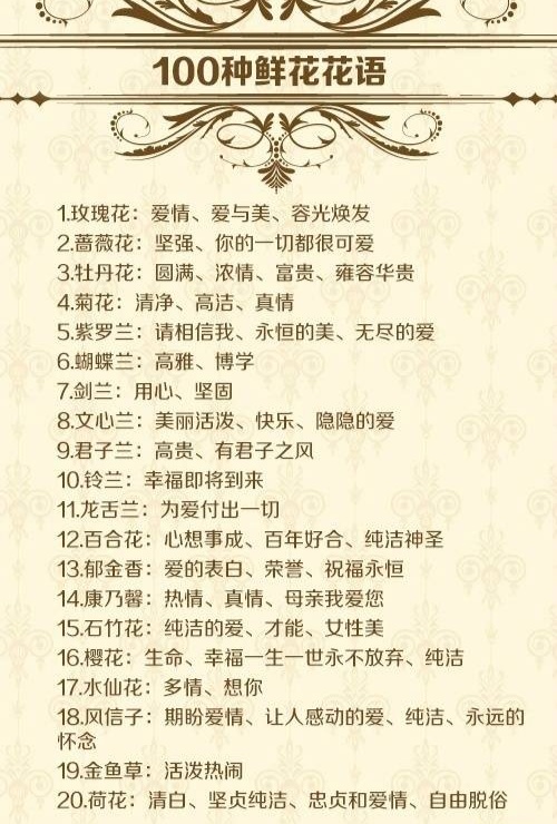 给你花原版,给你花原版视频