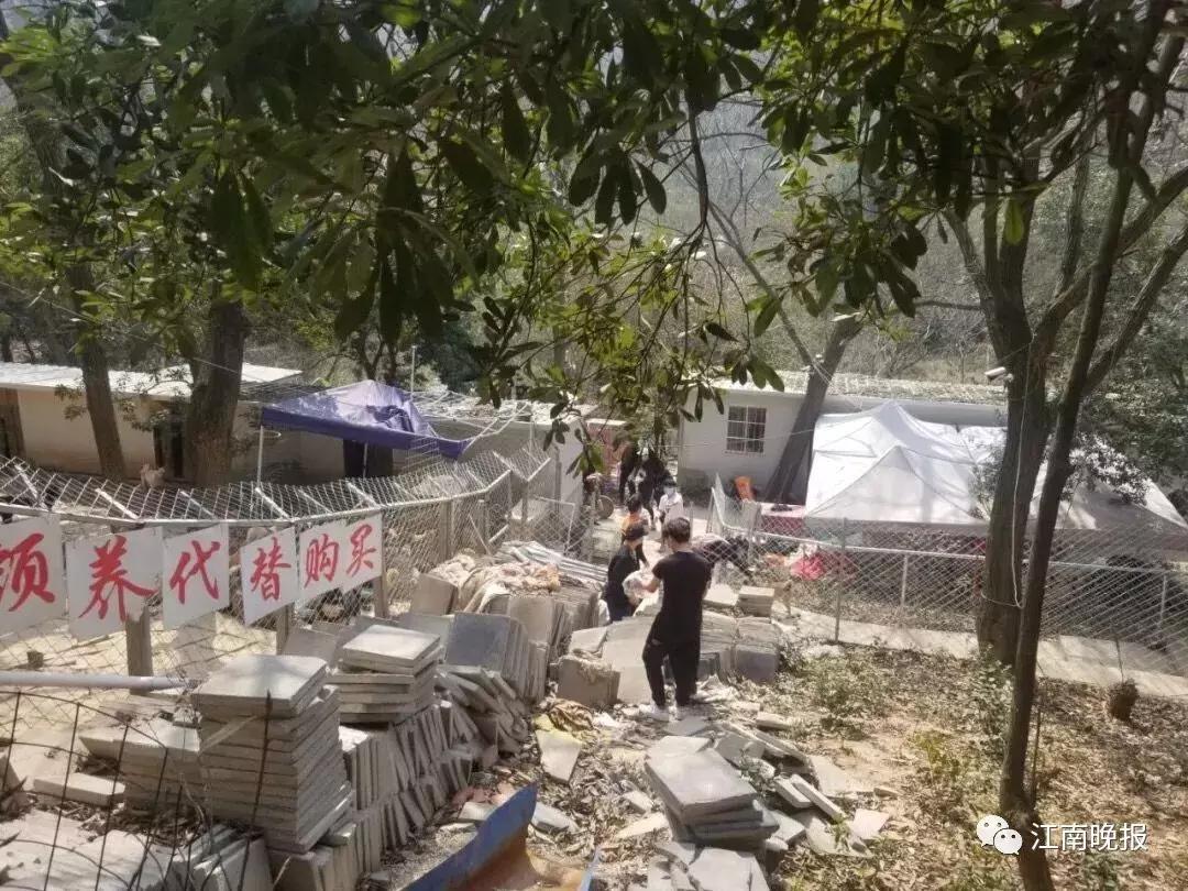 微笑天使正能量,微笑天使蕾蕾