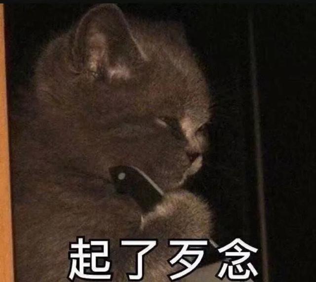 我错了，苹果这次真没骗我们