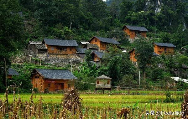 全球最大樱花基地原来就藏在贵州！万亩花海通到湖，机票低至2折