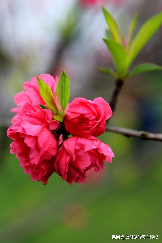 周末微旅行第一季,周末微旅行石湖