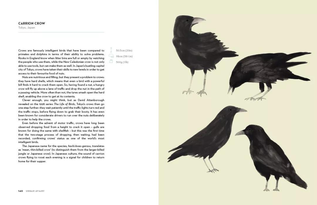 童真稚趣,稚拙童趣天真