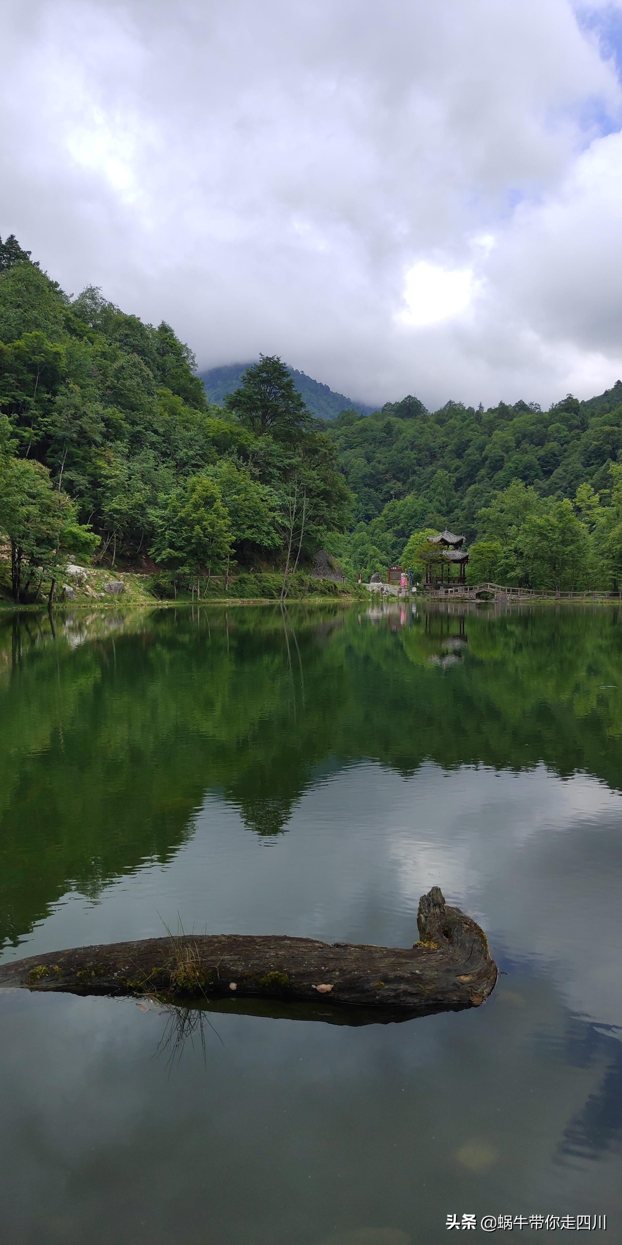 带小朋友出去看小动物,带小孩去海洋动物园