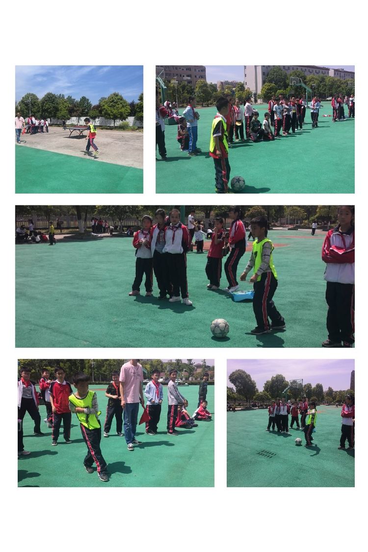 芳菲四月倾听花开——11班在成长