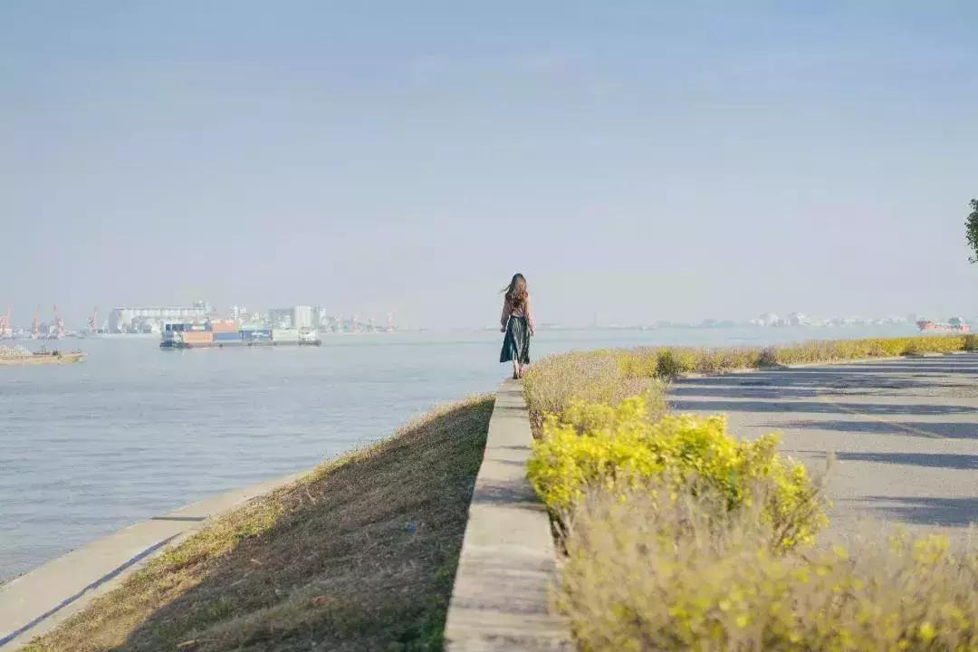 广州的这8个小岛，人少又免费，适合大小情侣的去处