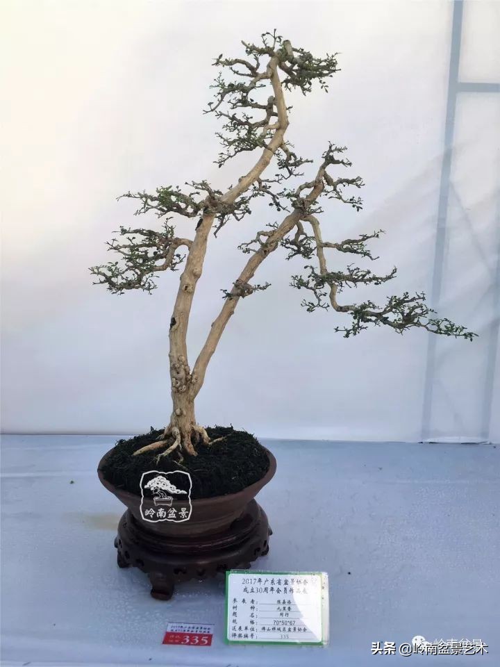 骞哥涔呬箙鐢滅敎铚滆湝,骞哥涔呬箙