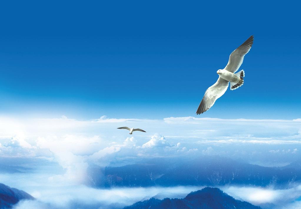 成功的第一要素是目标,成功要素之一明确目标