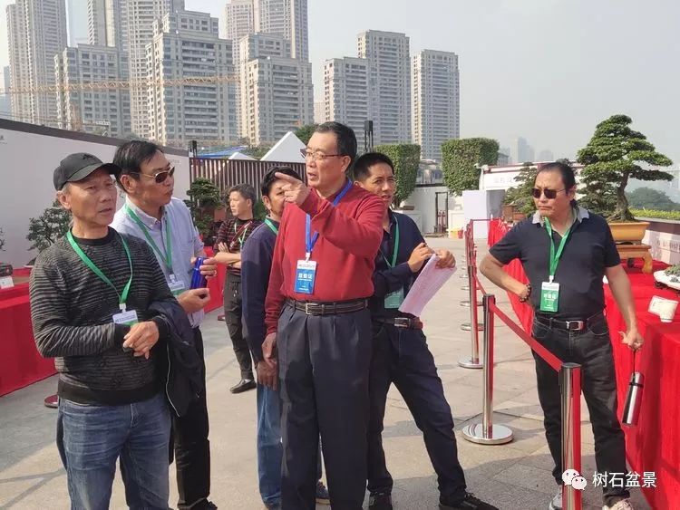 伟大使命复兴中国盆景艺术事业——2019中盆会大事回顾(下篇)