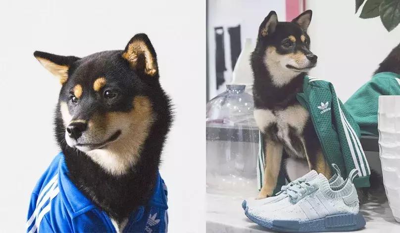 gucci和supreme联名马丁靴,guccisupreme鞋子