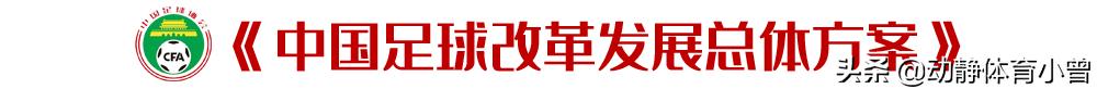盘点足协最近新政策,足协十大奇葩
