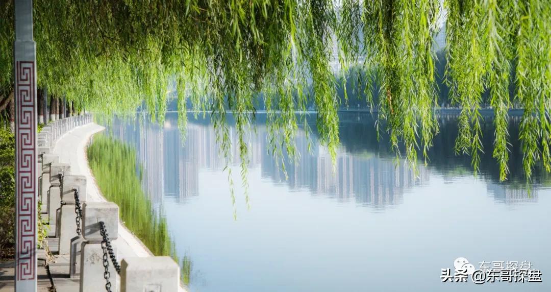 万万没想到，他捅了郑州刚需盘的“窗户纸”