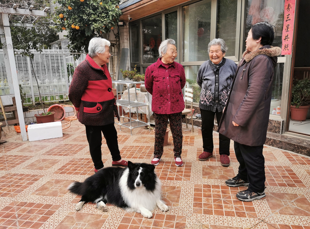 狗狗丢失找回技巧,狗狗丢失后如何尽快找回