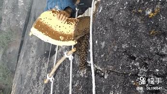 夜间接尸人视频,深夜接尸人的故事