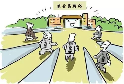 农产品打造优质品牌,农产品品牌打造与推广